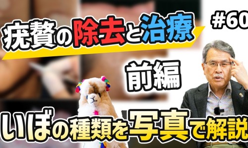 罗藦的功效与作用吃法-罗皮功效网 - 罗摹的功效,罗肝皮是哪的肉